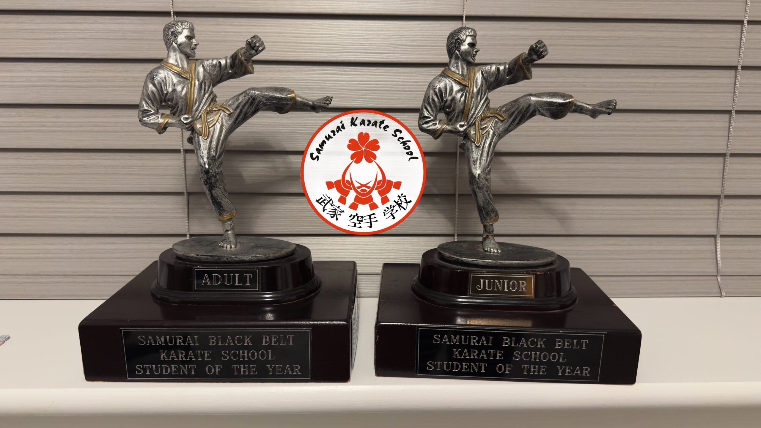 student of the year samurai karate school